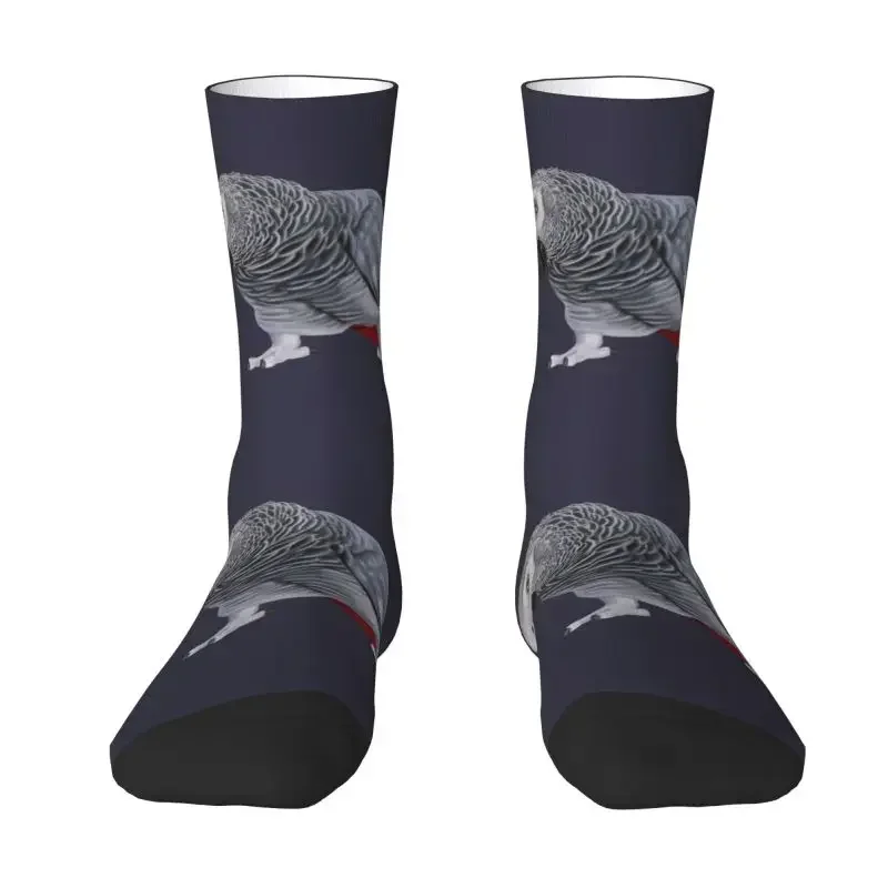 Крутые носки с африканскими серыми попугаями для мужчин и женщин, теплые носки для спортивной команды с 3D принтом Пситацинной птицы
